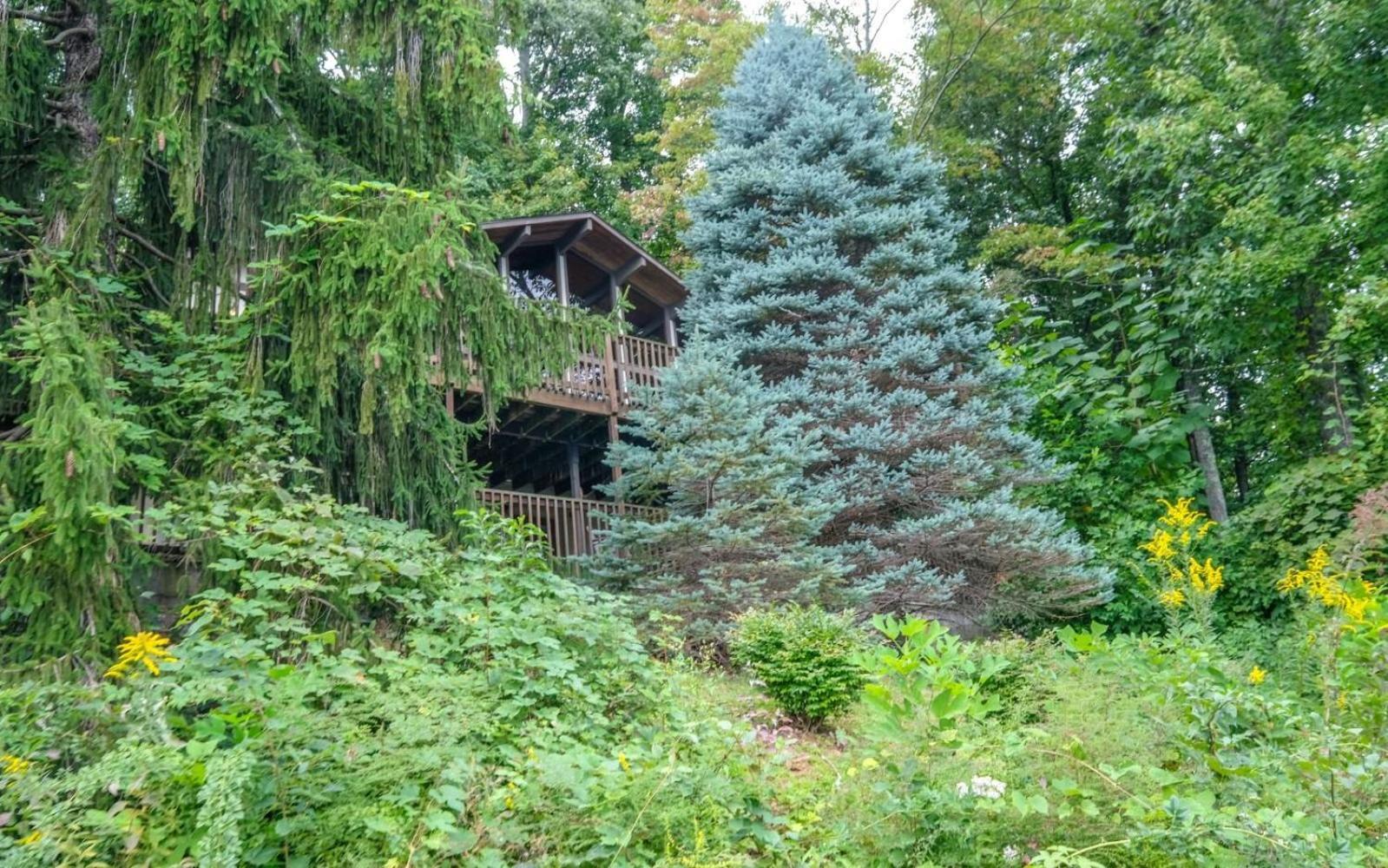 Three Pines 2139 Villa Gatlinburg Exteriör bild